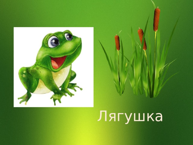Лягушка  
