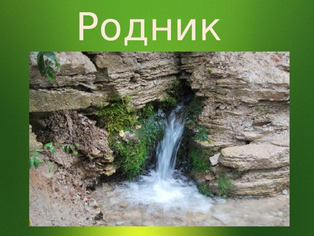 Родник 