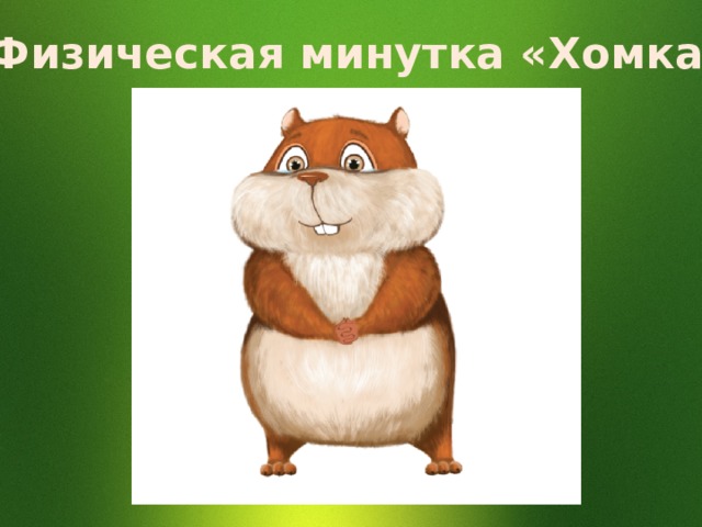 Физическая минутка «Хомка» 