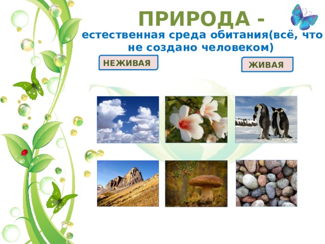 ПРИРОДА -   естественная среда обитания(всё, что не создано человеком) НЕЖИВАЯ   ЖИВАЯ   