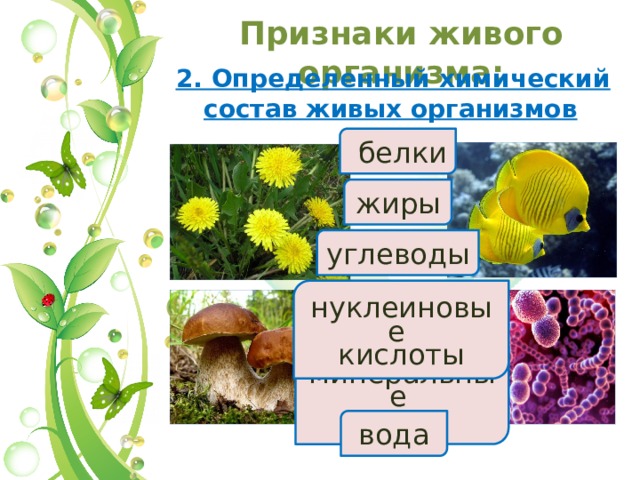 Признаки живого организма:   2. Определенный химический состав живых организмов  белки жиры углеводы нуклеиновые кислоты минеральные соли вода 11 