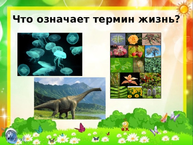 Что означает термин жизнь? 
