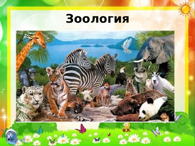 Зоология 