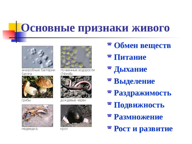 Основные признаки живого Обмен веществ Питание Дыхание Выделение Раздражимость Подвижность Размножение Рост и развитие 