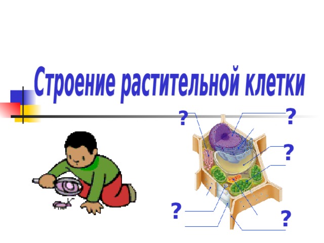 ? ? ? ? ? 