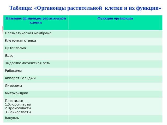 Таблица: «Органоиды растительной клетки и их функции» Название органоидов растительной клетки  Функции органоидов  Плазматическая мембрана Клеточная стенка Цитоплазма Ядро Эндоплазматическая сеть Рибосомы Аппарат Гольджи Лизосомы Митохондрии Пластиды: Хлоропласты Хромопласты Лейкопласты Вакуоль 