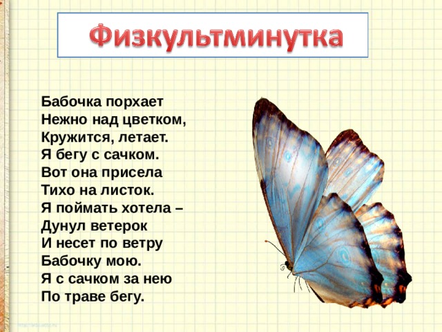 Бабочка порхает  Нежно над цветком,  Кружится, летает.  Я бегу с сачком.  Вот она присела  Тихо на листок.  Я поймать хотела –  Дунул ветерок  И несет по ветру  Бабочку мою.  Я с сачком за нею  По траве бегу. 