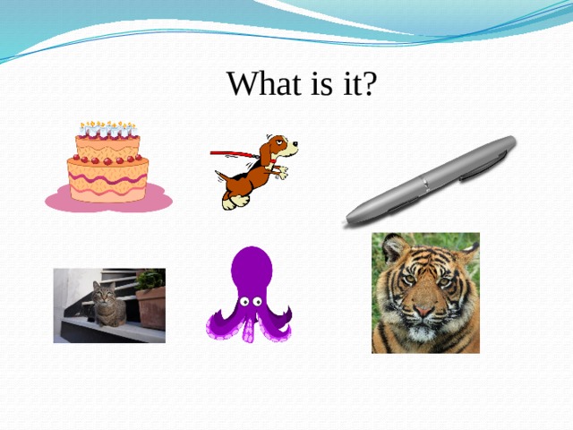 What is it? 