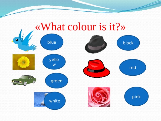 «What colour is it?» blue black yellow red green pink white 