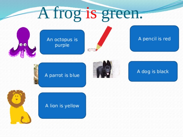 A frog is green.   A pencil is red An octopus is purple A dog is black A parrot is blue A lion is yellow 