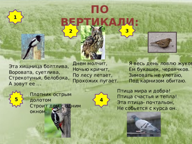 ПО ВЕРТИКАЛИ: 1 2 3   Эта хищница болтлива,  Воровата, суетлива,  Стрекотунья, белобока,  А зовут ее ... Днем молчит,  Ночью кричит,  По лесу летает,  Прохожих пугает. Я весь день ловлю жуков, Ем букашек, червячков. Зимовать не улетаю, Под карнизом обитаю. Птица мира и добра! Птица счастья и тепла! Эта птица- почтальон, Не собьется с курса он. Плотник острым долотом Строит дом с одним окном. 5 4 