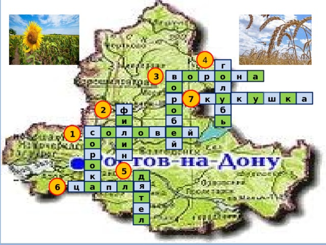 4 г 3 а в р о н о о л 7 у ш к а к к у р 2 б о ф ь б и 1 с в й е о л о и о й р н о 5 к д 6 я ц а л п т е л 