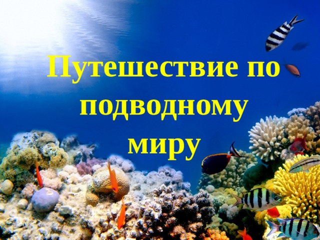 Путешествие по подводному миру 