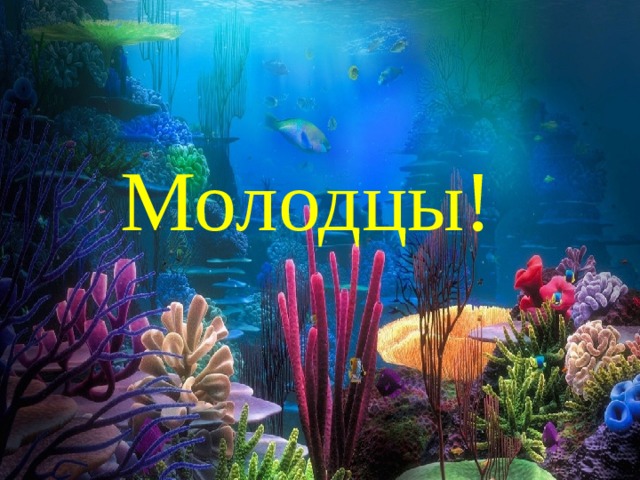 Молодцы! 