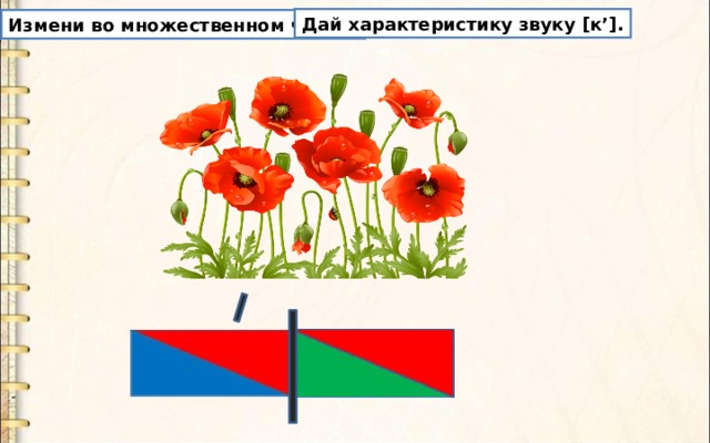 Дай характеристику звуку [ к ’] . Измени во множественном числе. 