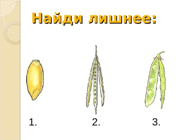 Найди лишнее:  1. 2. 3. 