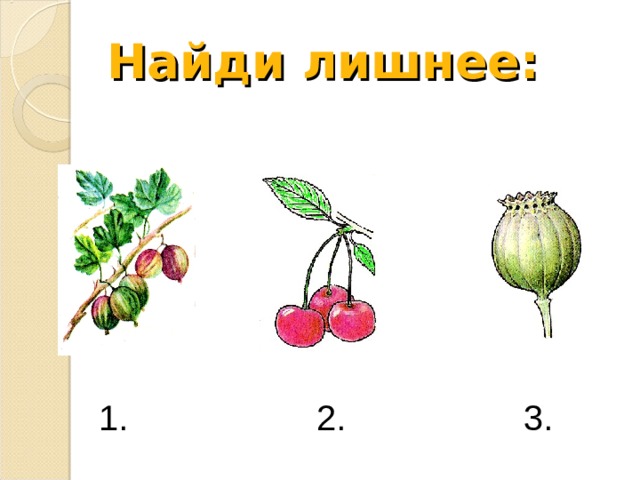 Найди лишнее:  1. 2. 3. 