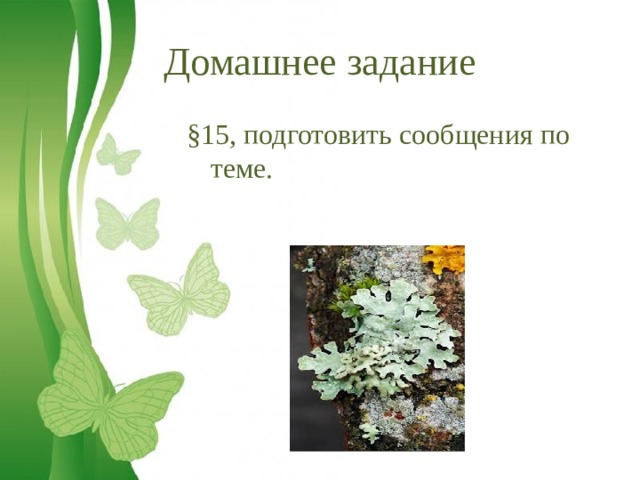 Домашнее задание §15, подготовить сообщения по теме. 