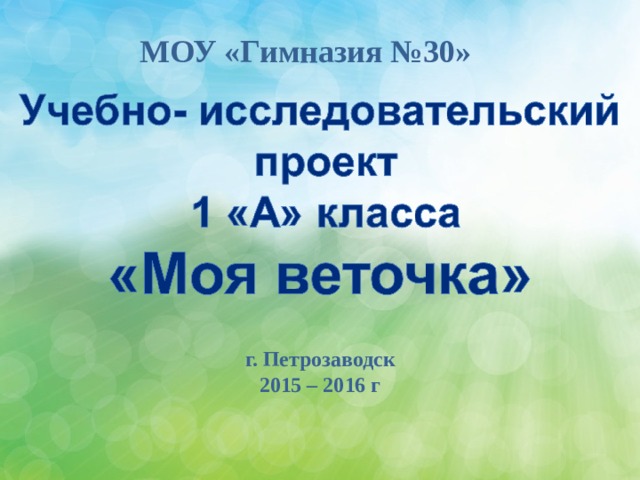 МОУ «Гимназия №30» г. Петрозаводск 2015 – 2016 г 