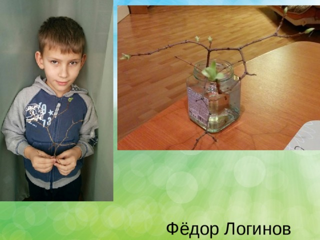 Фёдор Логинов 