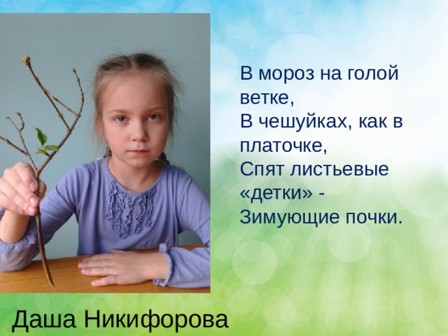 В мороз на голой ветке, В чешуйках, как в платочке, Спят листьевые «детки» - Зимующие почки. Даша Никифорова 