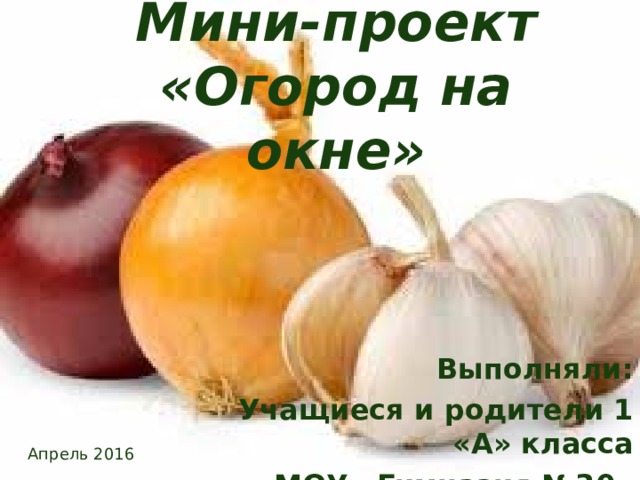 Мини-проект «Огород на окне» Выполняли: Учащиеся и родители 1 «А» класса МОУ «Гимназия №30» Апрель 2016 