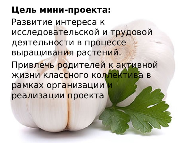 Цель мини-проекта: Развитие интереса к исследовательской и трудовой деятельности в процессе выращивания растений. Привлечь родителей к активной жизни классного коллектива в рамках организации и реализации проекта 