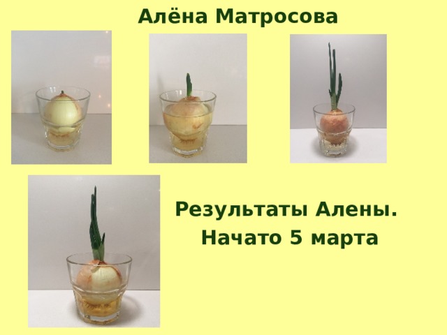 Алёна Матросова Результаты Алены. Начато 5 марта 