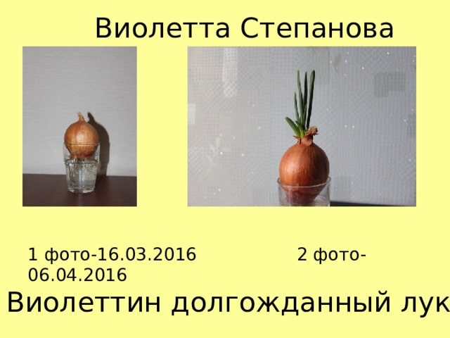 Виолетта Степанова 1 фото-16.03.2016 2 фото- 06.04.2016 Виолеттин долгожданный лук! 