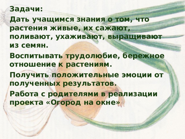 Задачи: Дать учащимся знания о том, что растения живые, их сажают, поливают, ухаживают, выращивают из семян. Воспитывать трудолюбие, бережное отношение к растениям. Получить положительные эмоции от полученных результатов. Работа с родителями в реализации проекта «Огород на окне» 