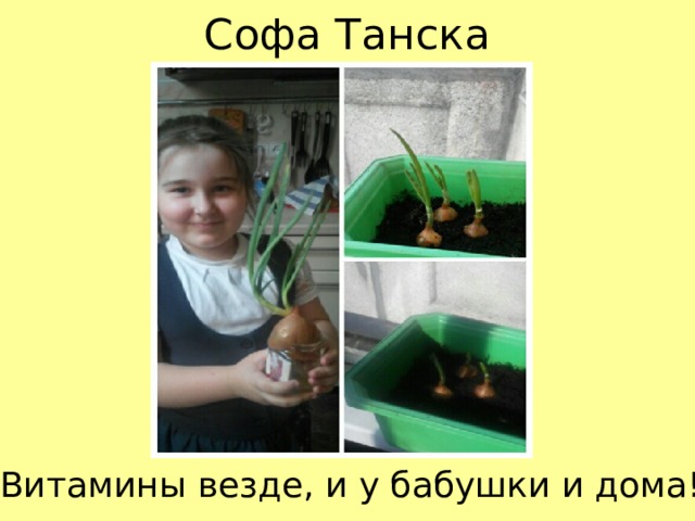 Софа Танска Витамины везде, и у бабушки и дома!!! 