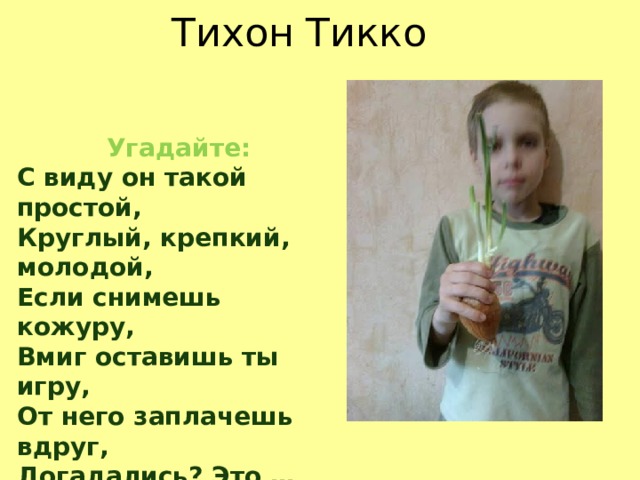 Тихон Тикко Угадайте: С виду он такой простой,  Круглый, крепкий, молодой,  Если снимешь кожуру,  Вмиг оставишь ты игру,  От него заплачешь вдруг,  Догадались? Это …( Лук ) 
