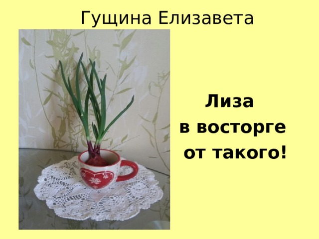 Гущина Елизавета Лиза в восторге  от такого! 