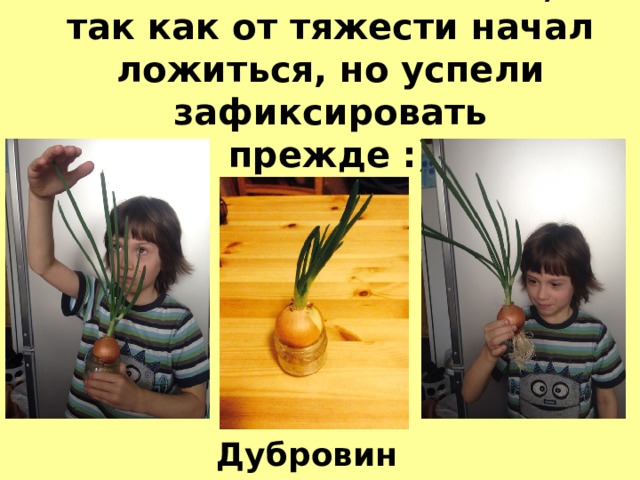 Мы свой почти съели, так как от тяжести начал ложиться, но успели зафиксировать прежде :) Дубровин Лука 