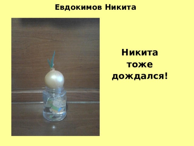 Евдокимов Никита Никита  тоже дождался! 