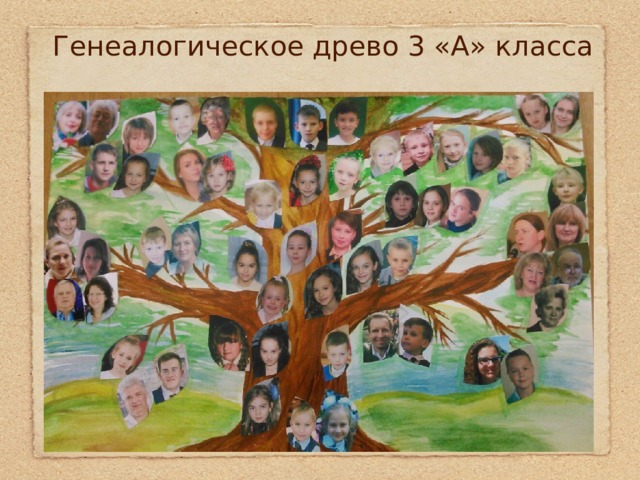 Генеалогическое древо 3 «А» класса 