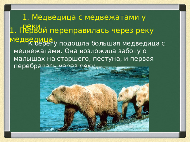 1. Медведица с медвежатами у реки. 1. Первой переправилась через реку медведица.  К берегу подошла большая медведица с медвежатами. Она возложила заботу о малышах на старшего, пестуна, и первая перебралась через реку. 