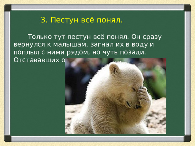 3. Пестун всё понял.  Только тут пестун всё понял. Он сразу вернулся к малышам, загнал их в воду и поплыл с ними рядом, но чуть позади. Отстававших он слегка подталкивал носом. 
