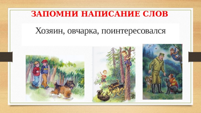 ЗАПОМНИ НАПИСАНИЕ СЛОВ Хозяин, овчарка, поин­ тересовался 