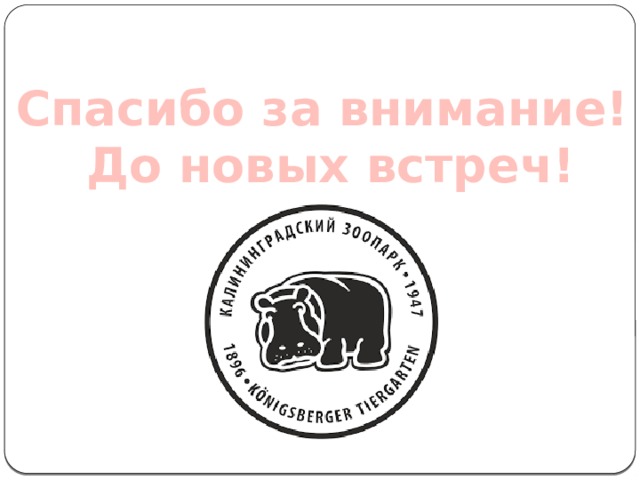 Спасибо за внимание! До новых встреч! 
