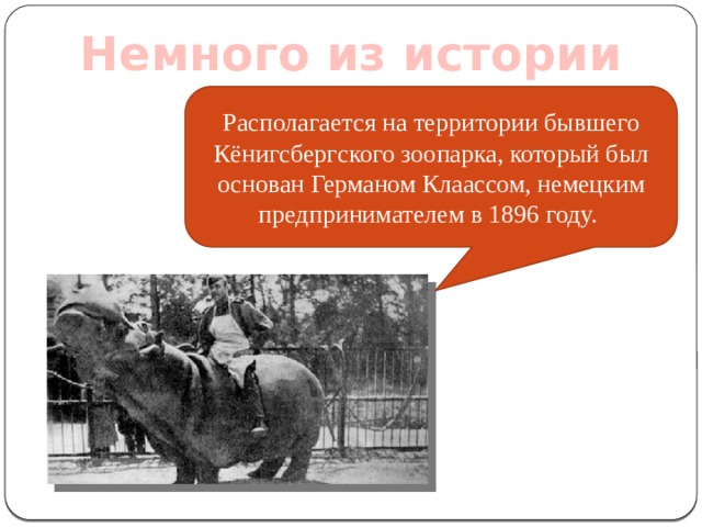 Немного из истории Располагается на территории бывшего Кёнигсбергского зоопарка, который был основан Германом Клаассом, немецким предпринимателем в 1896 году. 