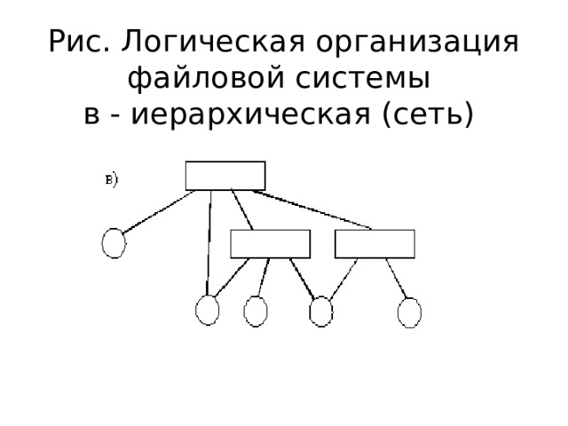 Рис. Логическая организация файловой системы  в - иерархическая (сеть) 