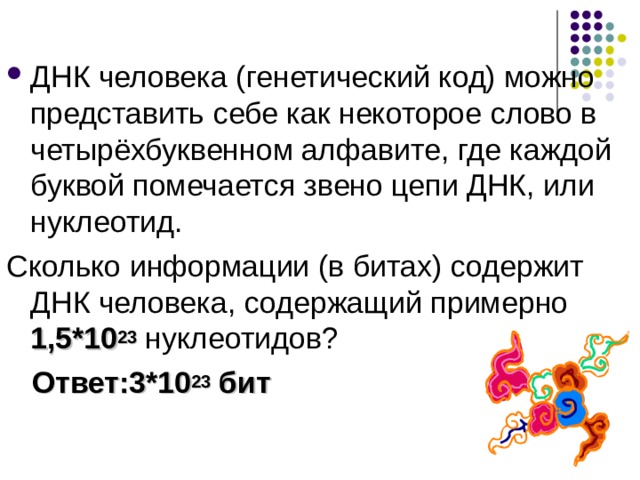 ДНК человека (генетический код) можно представить себе как некоторое слово в четырёхбуквенном алфавите, где каждой буквой помечается звено цепи ДНК, или нуклеотид. Сколько информации (в битах) содержит ДНК человека, содержащий примерно 1,5*10 23  нуклеотидов?  Ответ:3*10 23 бит 