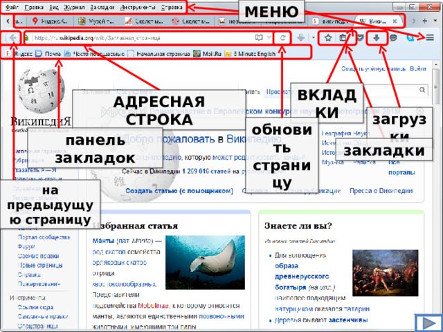 МЕНЮ ВКЛАДКИ АДРЕСНАЯ СТРОКА загрузки обновить страницу панель закладок закладки на предыдущую страницу 