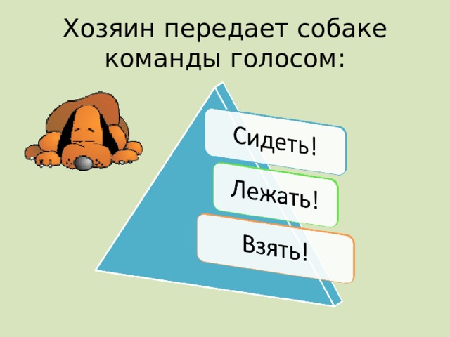 Хозяин передает собаке команды голосом: 