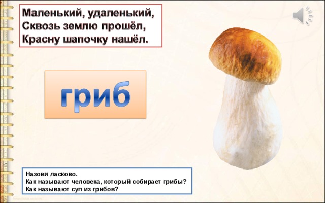 Назови ласково. Как называют человека, который собирает грибы? Как называют суп из грибов? 