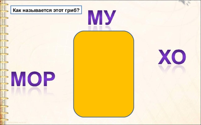 Как называется этот гриб? 