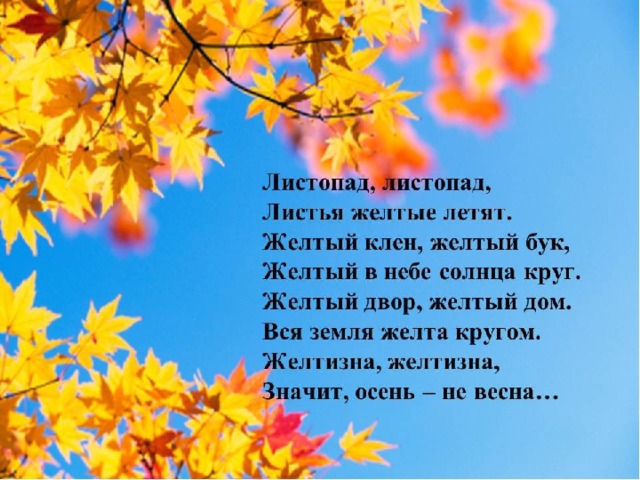 Главные жители леса 
