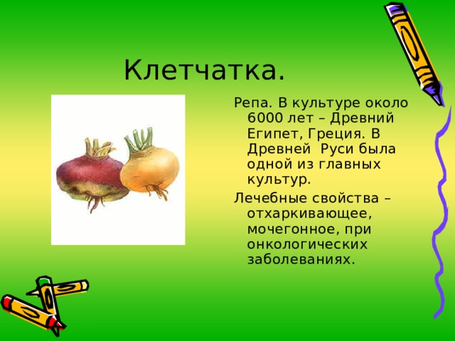 Репа. В культуре около 6000 лет – Древний Египет, Греция. В Древней Руси была одной из главных культур. Лечебные свойства –отхаркивающее, мочегонное, при онкологических заболеваниях. 