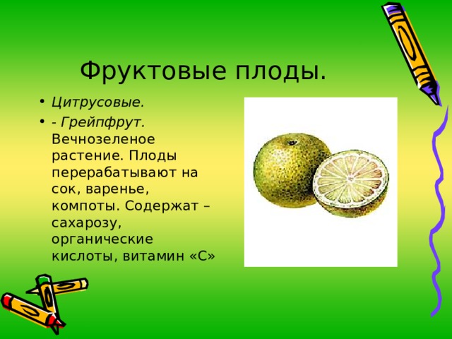 Фруктовые плоды. Цитрусовые. - Грейпфрут. Вечнозеленое растение. Плоды перерабатывают на сок, варенье, компоты. Содержат –сахарозу, органические кислоты, витамин «С»  